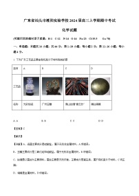 2023-2024学年广东省汕头市潮阳实验学校高三上学期期中考试化学试题含答案