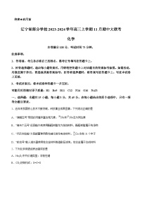 辽宁省部分学校2023-2024学年高三上学期11月期中大联考化学试题含答案