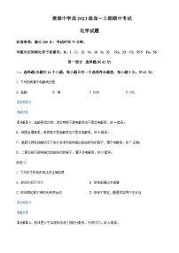 四川省成都市双流棠湖中学2023-2024学年高三上学期11月期中化学试题含答案