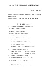 天津市滨海新区2023-2024学年高三上学期期中质量调查化学（A卷）试题含答案