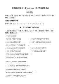 天津市滨海新区田家炳中学2023-2024学年高三上学期期中考试化学试题含答案