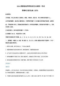 河南省青桐鸣大联考2023-2024学年高三上学期12月月考化学试题含答案