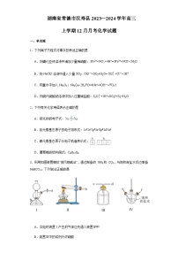 湖南省常德市汉寿县第一中学2023-2024学年高三上学期12月月考化学试题含答案