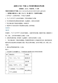 四川省成都市第七中学2023-2024学年高一上学期12月月考化学试题（Word版附解析）