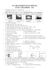 2024届重庆市普通高中学业水平选择性考试高三上学期1月第一次联合诊断检测化学试题（PDF版含解析）