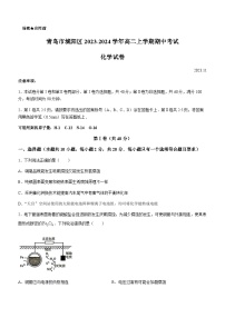 山东省青岛市第五十八中学2023-2024学年高二上学期期中考试化学试卷含答案