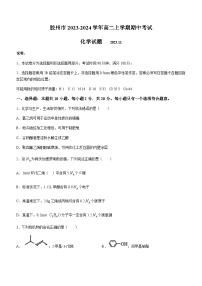 山东省青岛市胶州市2023-2024学年高二上学期期中考试化学试卷含答案