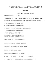 新疆乌鲁木齐市新市区2023-2024学年高二上学期期中考试化学试题含答案