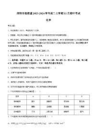 广东省深圳市校联盟2023-2024学年高二上学期11月期中考试化学试题含答案