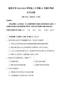 四川省遂宁市射洪中学2023-2024学年高二上学期11月期中考试化学试题含答案