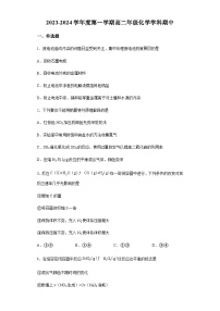 北京理工大学附属中学2023-2024学年高二第一学期期中考试化学试题含答案