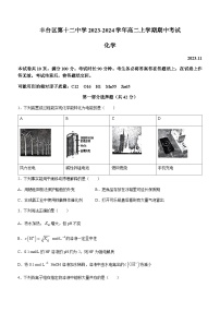 北京市丰台区第十二中学2023-2024学年高二上学期期中考试化学试题含答案