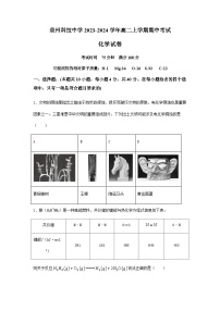 福建省泉州科技中学2023-2024学年高二上学期期中考试化学试题含答案