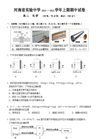 河南省实验中学2023-2024学年高二上学期期中考试化学试题含答案