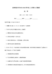 福建省泉州科技中学2023-2024学年高二上学期11月测试化学试题含答案