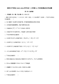 河南省信阳市第二高级中学2023-2024学年高二上学期11月阶段测试化学试题含答案