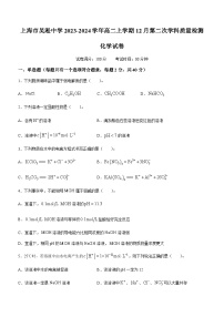 上海市吴淞中学2023-2024学年高二上学期12月第二次学科质量检测化学试卷含答案