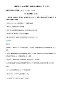 四川省成都市第七中学2023-2024学年高三上学期11月月考化学试题含答案