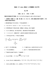 福建省龙岩市第一中学2023-2024学年高三上学期第三次月考化学试题含答案