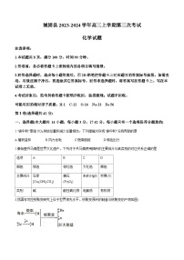 陕西省汉中市城固县第二中学2023-2024学年高三上学期第三次考试化学试题含答案