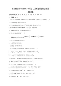 四川省绵阳市2023-2024学年高一上学期化学期末复习综合模拟试题（含答案）