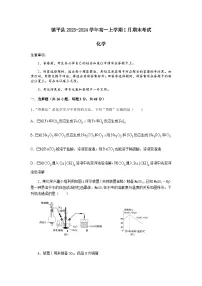 河南省南阳市镇平县2023-2024学年高一上学期1月期末考试化学试题（含答案）