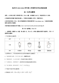 江西省抚州市2023-2024学年高一上学期1月学生学业质量监测（期末考试）化学试卷（含答案）