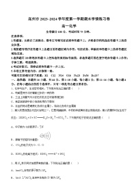 广东省茂名市高州市2023-2024学年高一上学期期末学情练习卷化学试题（含解析）