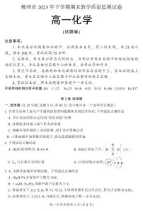 湖南省郴州市2023-2024学年高一上学期期末教学质量监测化学试题（PDF版附答案）