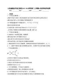 山东省烟台市龙口某校2023-2024学年高二上学期12月月考化学试卷(含答案)