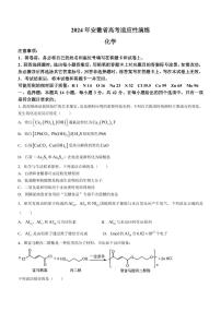 2024年1月安徽普通高等学校招生考试适应性测试化学试题(无答案)