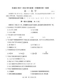 北京东城区2023-2024高一上学期期末化学试卷及答案