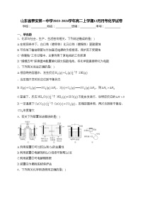 山东省泰安第一中学2023-2024学年高二上学期12月月考化学试卷(含答案)