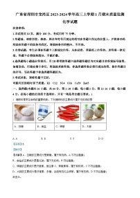 02，广东省深圳市龙岗区2023-2024学年高三上学期1月期末考试化学试题