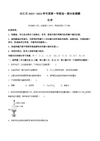 111，四川省内江市2023-2024学年高一上学期期末检测题化学试题(无答案)