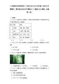 01物质的分类及转化-广东省2023-2024学年高一化学上学期期中、期末重点知识点专题练习（人教版2019）