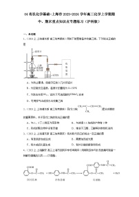 04有机化学基础-上海市2023-2024学年高三化学上学期期中、期末重点知识点专题练习（沪科版）