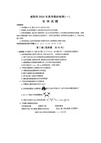 陕西省咸阳市2024年高考第一次模拟考试化学试题及答案