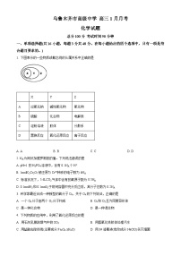 新疆乌鲁木齐市高级中学2023-2024学年高三上学期1月月考化学试题（原卷版）