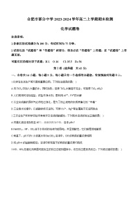 安徽省合肥市部分中学2023-2024学年高二上学期期末检测化学试题（含答案）