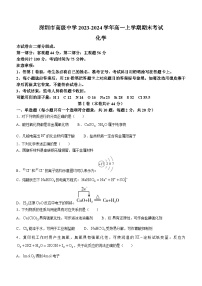 广东省深圳市高级中学2023-2024学年高一上学期期末考试化学试题（含答案）