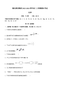 湖南省长沙市雅礼教育集团2023-2024学年高二上学期期末考试化学试题（含解析）