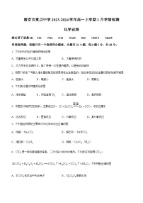 江苏省南京市重点中学2023-2024学年高一上学期1月学情检测化学试卷（含答案）