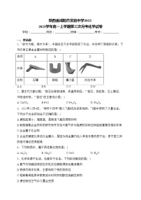 陕西省咸阳市实验中学2022-2023学年高一上学期第三次月考化学试卷(含答案)