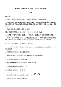 山东省东营市2023-2024学年高二上学期期末考试化学试题（含答案）