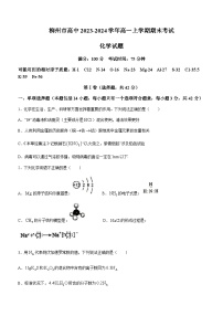 广西柳州市高中2023-2024学年高一上学期期末考试化学试题（含答案）