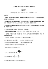 湖北省十堰市2023-2024学年高三上学期元月调研考试化学试卷（含答案）