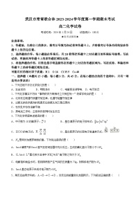 湖北省武汉市常青联合体联考2023-2024学年高二上学期1月期末考试化学试题（含答案）