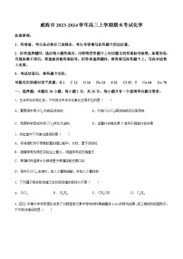 山东省威海市2023-2024学年高三上学期期末考试化学试题（含答案）