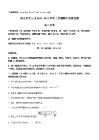 云南省保山市、文山州2023-2024学年高二上学期期末质量监测化学试题（含答案）